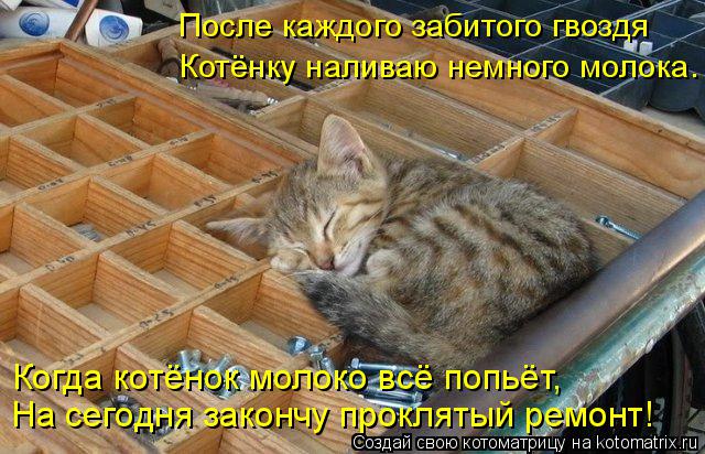 После каждого забитого гвоздя Котёнку наливаю немного молока. Когда котёнок молоко всё попьёт, На сег... Котоматрица: После каждого забитого гвоздя Котёнку наливаю немного молока. Когда котёнок молоко всё попьёт, На сегодня закончу проклятый ремонт!