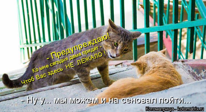- Ну у... мы можем и на сеновал пойти... Ко мне сегодня дама придёт - Чтоб Вас здесь НЕ ЛЕЖАЛО ! -... Котоматрица: - Ну у... мы можем и на сеновал пойти... Ко мне сегодня дама придёт - Чтоб Вас здесь НЕ ЛЕЖАЛО ! - Предупреждаю!