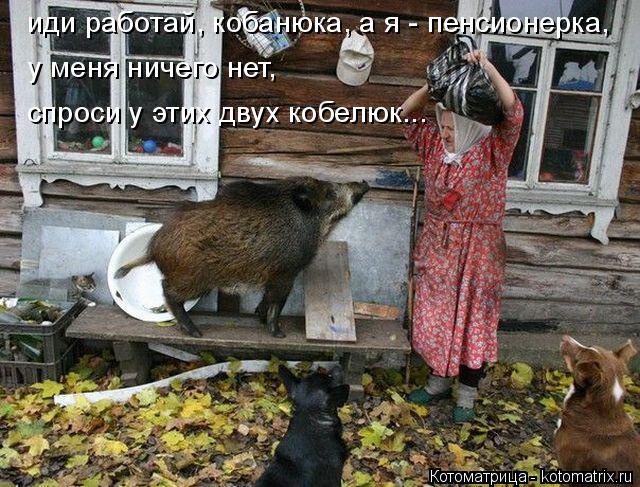иди работай, кобанюка, а я - пенсионерка, у меня ничего нет, спроси у этих двух кобелюк...... Котоматрица: иди работай, кобанюка, а я - пенсионерка, у меня ничего нет, спроси у этих двух кобелюк...