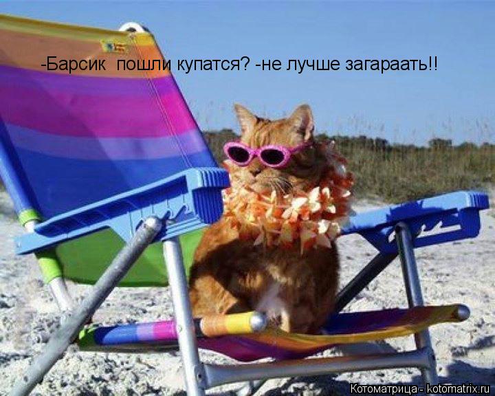 -Барсик пошли купатся? -не лучше загараать!!... Котоматрица: -Барсик пошли купатся? -не лучше загараать!!