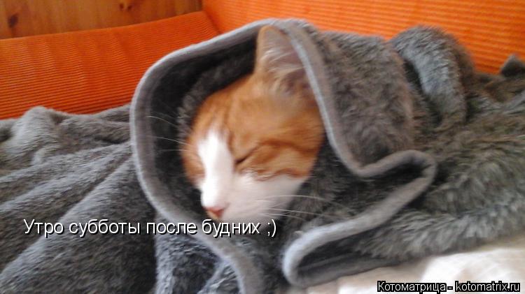 Утро субботы после будних ;)... Котоматрица: Утро субботы после будних ;)
