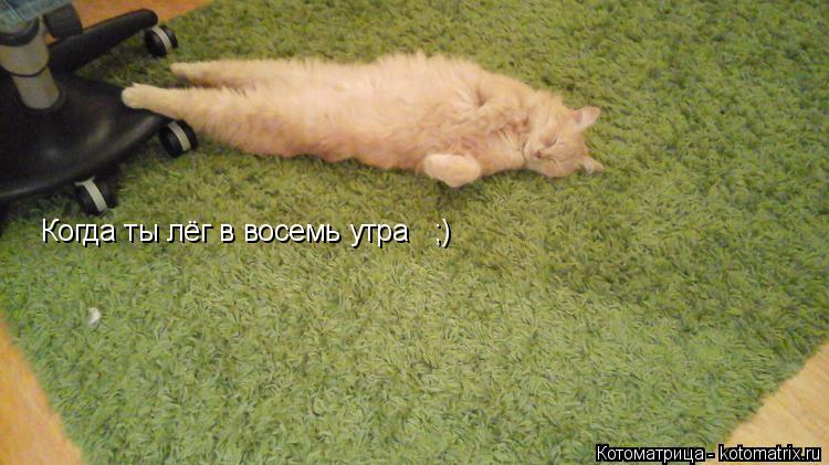 Когда ты лёг в восемь утра ;)... Котоматрица: Когда ты лёг в восемь утра ;)