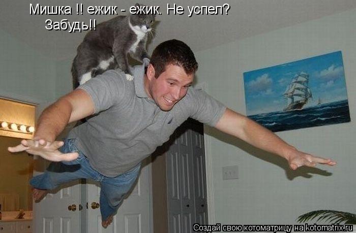 Мишка !! ежик - ежик. Не успел? Мишка !! ежик - ежик. Не успел? Забудь!!... Котоматрица: Мишка !! ежик - ежик. Не успел? Мишка !! ежик - ежик. Не успел? Забудь!!