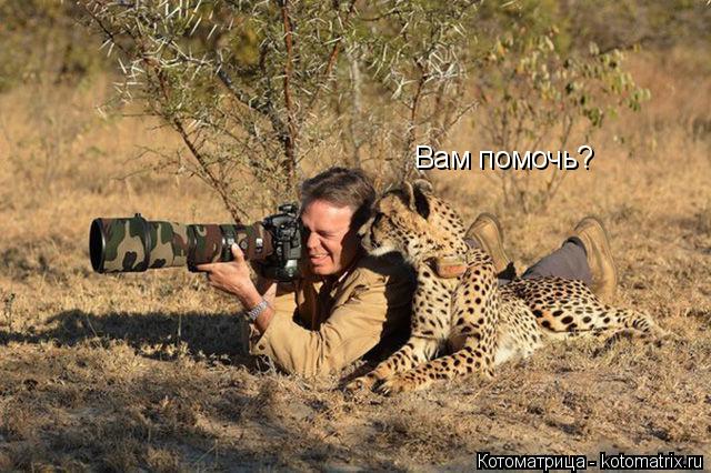 Вам помочь?... Котоматрица: Вам помочь?