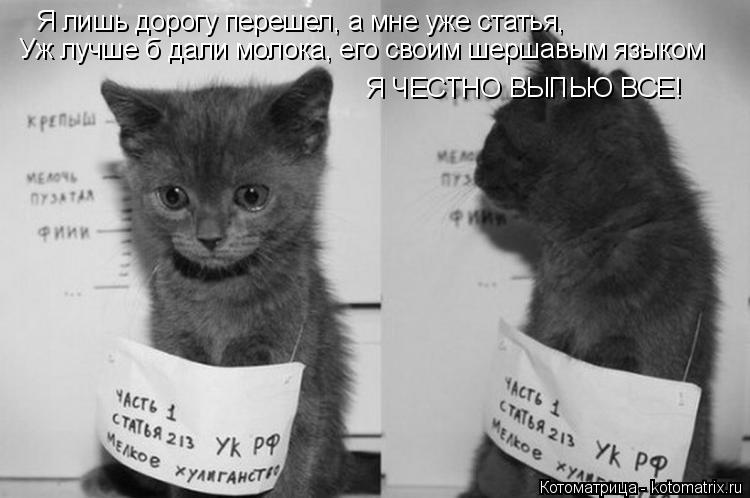 Уж лучше б дали молока, его своим шершавым языком Я ЧЕСТНО ВЫПЬЮ ВСЕ! Я лишь дорогу перешел, а мне уж... Котоматрица: Уж лучше б дали молока, его своим шершавым языком Я ЧЕСТНО ВЫПЬЮ ВСЕ! Я лишь дорогу перешел, а мне уже статья,
