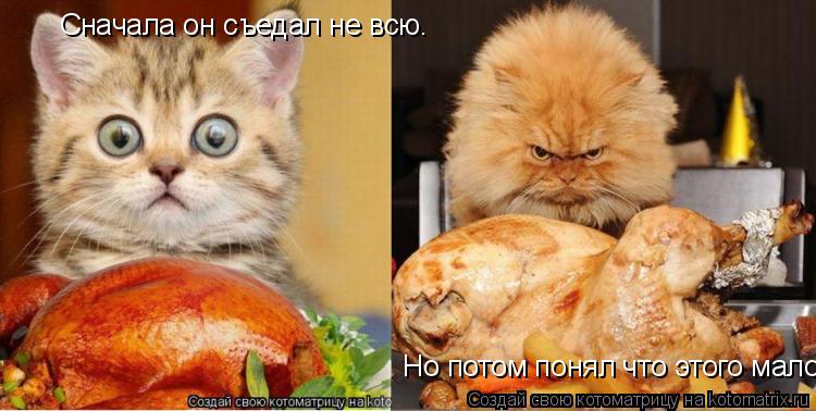 Сначала он съедал не всю. Но потом понял что этого мало.... Котоматрица: Сначала он съедал не всю. Но потом понял что этого мало.