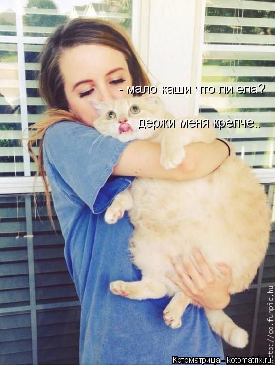 - мало каши что ли ела? держи меня крепче..... Котоматрица: - мало каши что ли ела? держи меня крепче..
