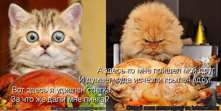 Вот здесь я удивлен слегка, За что же дали мне пинка? А здесь ко мне пришел мой друг, И думает, куда ... Котоматрица: Вот здесь я удивлен слегка, За что же дали мне пинка? А здесь ко мне пришел мой друг, И думает, куда исчезли крылья вдруг.