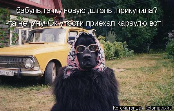 бабуль,тачку новую ,штоль ,прикупила? -та,не! УнучОк у гости приехал,караулю вот!... Котоматрица: бабуль,тачку новую ,штоль ,прикупила? -та,не! УнучОк у гости приехал,караулю вот!