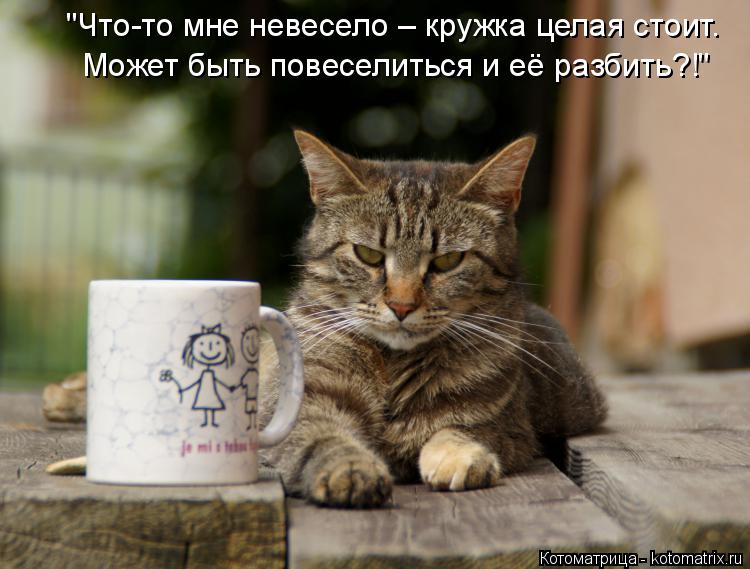 "Что-то мне невесело – кружка целая стоит. Может быть повеселиться и её разбить?!"... Котоматрица: "Что-то мне невесело – кружка целая стоит. Может быть повеселиться и её разбить?!"
