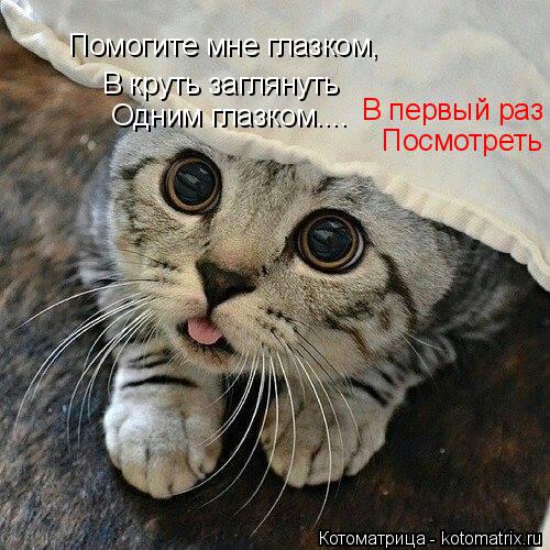 Помогите мне глазком, В круть заглянуть В первый раз Посмотреть Одним глазком....... Котоматрица: Помогите мне глазком, В круть заглянуть В первый раз Посмотреть Одним глазком....