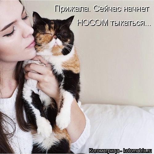 Прижала. Сейчас начнет НОСОМ тыкаться...... Котоматрица: Прижала. Сейчас начнет НОСОМ тыкаться...