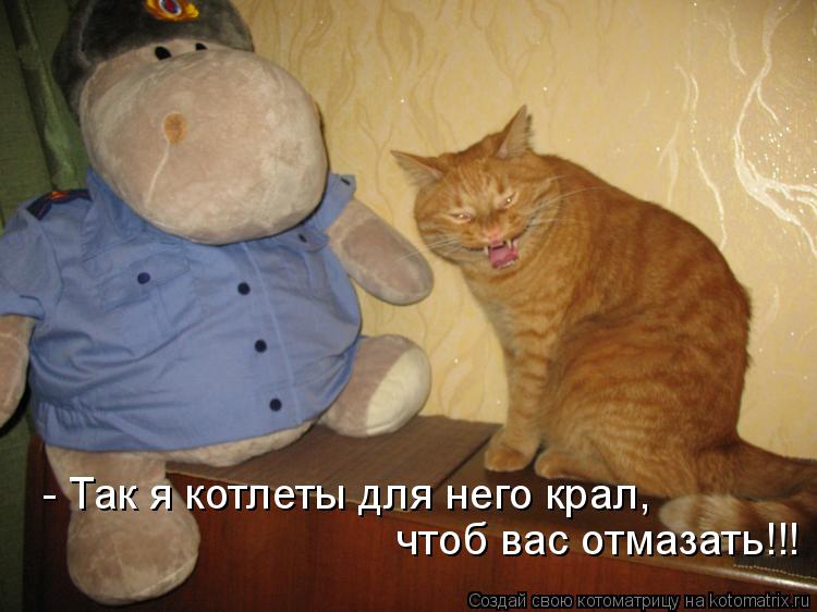 - Так я котлеты для него крал, чтоб вас отмазать!!!... Котоматрица: - Так я котлеты для него крал, чтоб вас отмазать!!!