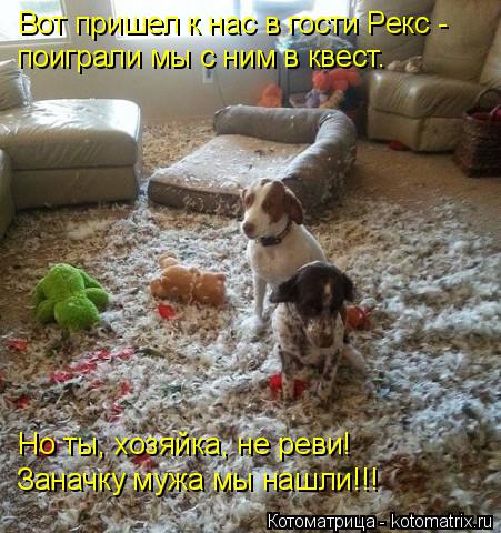 Вот пришел к нас в гости Рекс - поиграли мы с ним в квест. Но ты, хозяйка, не реви! Заначку мужа мы н... Котоматрица: Вот пришел к нас в гости Рекс - поиграли мы с ним в квест. Но ты, хозяйка, не реви! Заначку мужа мы нашли!!!