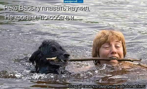 Рекс Ваську плавать научил, Не кролем, по-собачьи... Котоматрица: Рекс Ваську плавать научил, Не кролем, по-собачьи