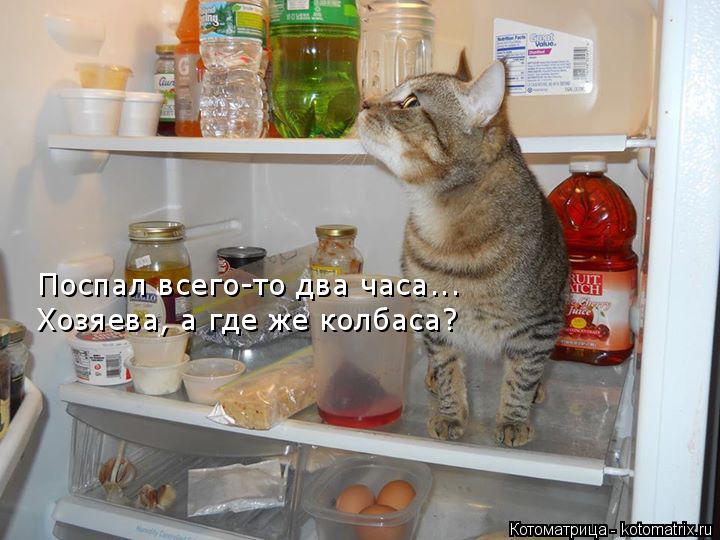 Поспал всего-то два часа... Хозяева, а где же колбаса?... Котоматрица: Поспал всего-то два часа... Хозяева, а где же колбаса?