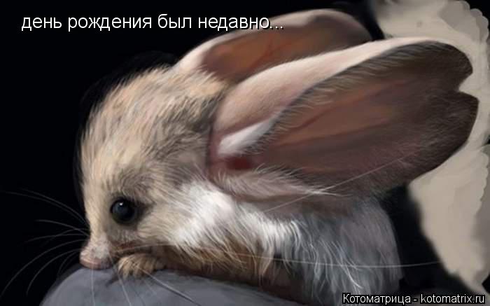 день рождения был недавно...... Котоматрица: день рождения был недавно...