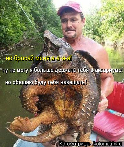 ну не могу я больше держать тебя в аквариуме! но обещаю,буду тебя навещать! не бросай меня,а-а-а-а!... Котоматрица: ну не могу я больше держать тебя в аквариуме! но обещаю,буду тебя навещать! не бросай меня,а-а-а-а!