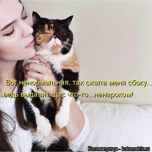 Вот ненормальная, так сжала меня сбоку... ведь выдавит щас что-то...ненароком!... Котоматрица: Вот ненормальная, так сжала меня сбоку... ведь выдавит щас что-то...ненароком!