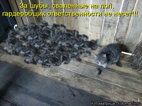 За шубы, сваленные на пол, гардеробщик ответственности не несет!!!... Котоматрица: За шубы, сваленные на пол, гардеробщик ответственности не несет!!!
