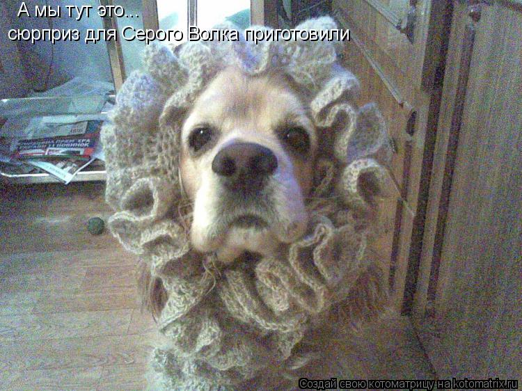 А мы тут это... сюрприз для Серого Волка приготовили... Котоматрица: А мы тут это... сюрприз для Серого Волка приготовили