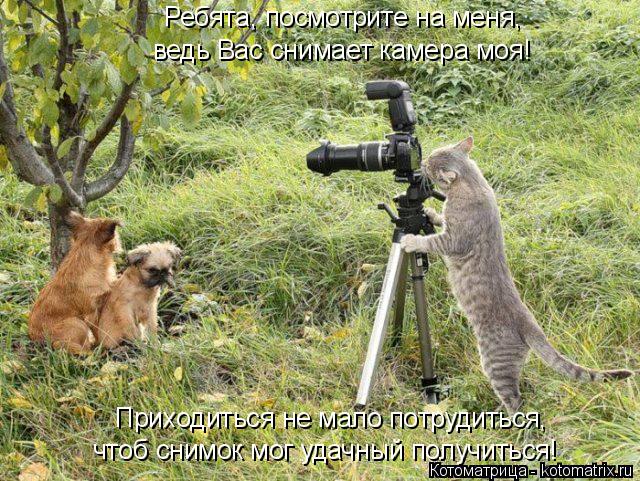 Приходиться не мало потрудиться, чтоб снимок мог удачный получиться! Ребята, посмотрите на меня, ведь... Котоматрица: Приходиться не мало потрудиться, чтоб снимок мог удачный получиться! Ребята, посмотрите на меня, ведь Вас снимает камера моя!