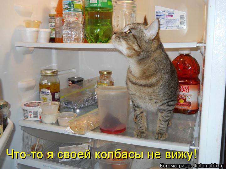Что-то я своей колбасы не вижу!... Котоматрица: Что-то я своей колбасы не вижу!