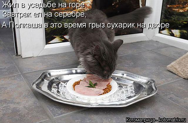 Жил в усадьбе на горе, Завтрак ел на серебре, А Полкаша в это время грыз сухарик на дворе... Котоматрица: Жил в усадьбе на горе, Завтрак ел на серебре, А Полкаша в это время грыз сухарик на дворе