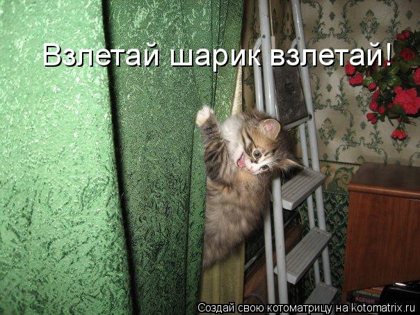 Взлетай шарик взлетай!... Котоматрица: Взлетай шарик взлетай!