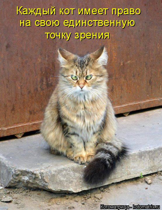 Каждый кот имеет право на свою единственную точку зрения... Котоматрица: Каждый кот имеет право на свою единственную точку зрения