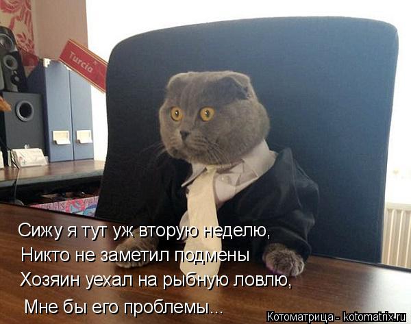 Сижу я тут уж вторую неделю, Никто не заметил подмены Хозяин уехал на рыбную ловлю, Мне бы его пробле... Котоматрица: Сижу я тут уж вторую неделю, Никто не заметил подмены Хозяин уехал на рыбную ловлю, Мне бы его проблемы...