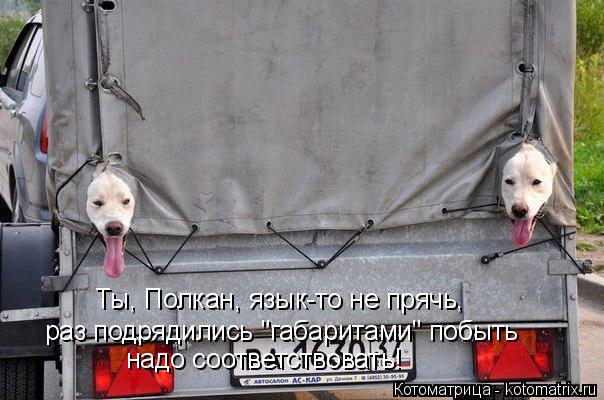 Ты, Полкан, язык-то не прячь, раз подрядились "габаритами" побыть надо соответствовать!... Котоматрица: Ты, Полкан, язык-то не прячь, раз подрядились "габаритами" побыть надо соответствовать!