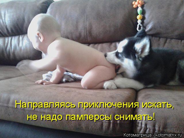 Направляясь приключения искать, не надо памперсы снимать!... Котоматрица: Направляясь приключения искать, не надо памперсы снимать!