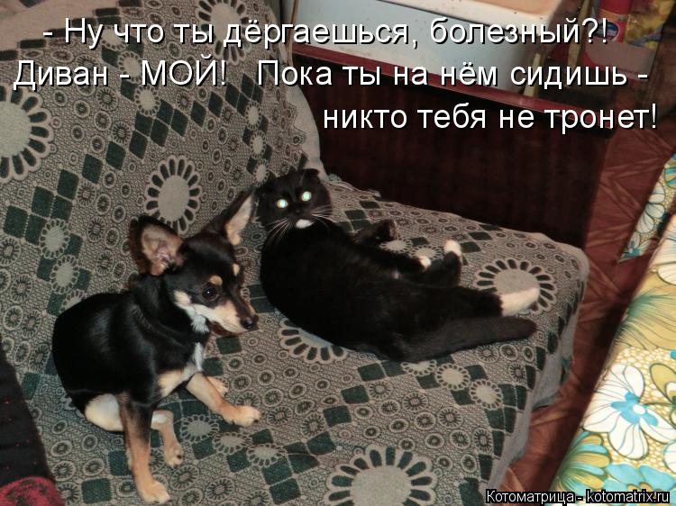 http://kotomatrix.ru/images/lolz/2015/06/30/kotomatritsa_XU.jpg