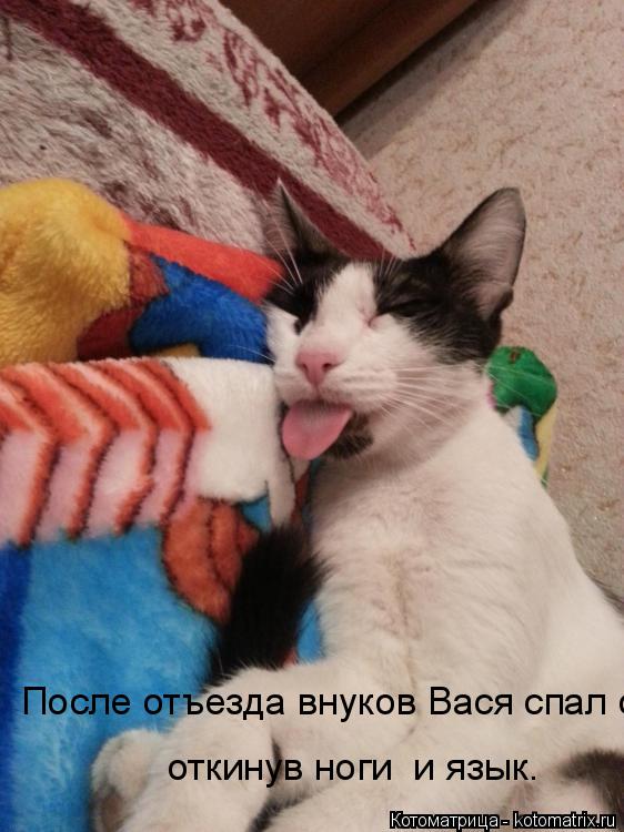 После отъезда внуков Вася спал откинув ноги и язык. откинув ноги и язык.... Котоматрица: После отъезда внуков Вася спал откинув ноги и язык. откинув ноги и язык.