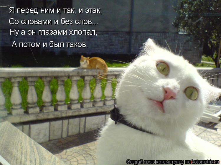 Я перед ним и так, и этак, Со словами и без слов... Ну а он глазами хлопал, А потом и был таков.... Котоматрица: Я перед ним и так, и этак, Со словами и без слов... Ну а он глазами хлопал, А потом и был таков.