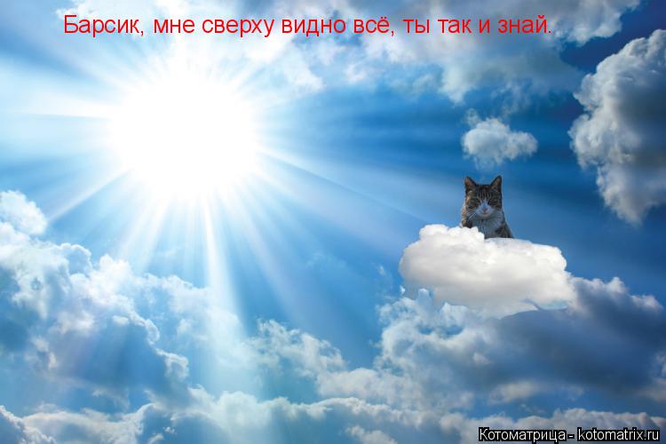 Барсик, мне сверху видно всё, ты так и знай.... Котоматрица: Барсик, мне сверху видно всё, ты так и знай.