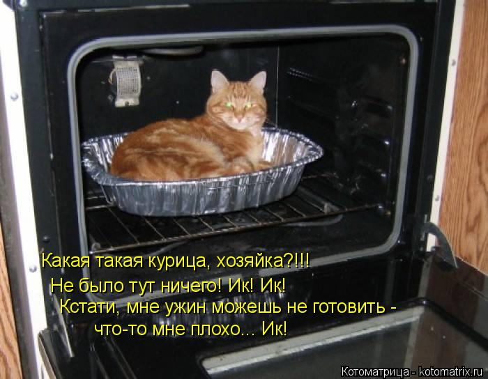 Какая такая курица, хозяйка?!!! Не было тут ничего! Ик! Ик! Кстати, мне ужин можешь не готовить - что... Котоматрица: Какая такая курица, хозяйка?!!! Не было тут ничего! Ик! Ик! Кстати, мне ужин можешь не готовить - что-то мне плохо... Ик!