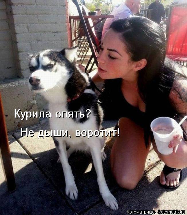 Не дыши, воротит! Курила опять?... Котоматрица: Не дыши, воротит! Курила опять?