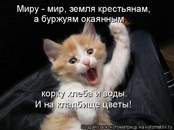 Миру - мир, земля крестьянам, а буржуям окаянным корку хлеба и воды. И на кладбище цветы!... Котоматрица: Миру - мир, земля крестьянам, а буржуям окаянным корку хлеба и воды. И на кладбище цветы!