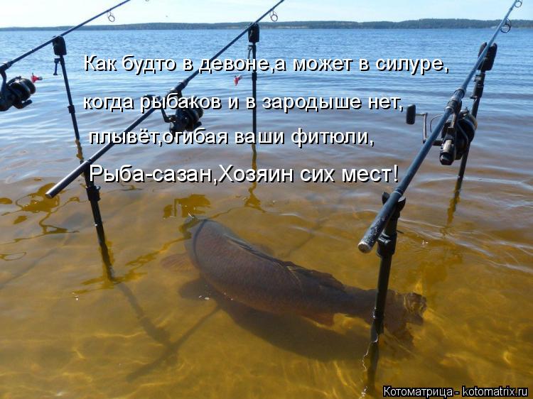 Как будто в девоне,а может в силуре, когда рыбаков и в зародыше нет, плывёт,огибая ваши фитюли, Рыба-... Котоматрица: Как будто в девоне,а может в силуре, когда рыбаков и в зародыше нет, плывёт,огибая ваши фитюли, Рыба-сазан,Хозяин сих мест!