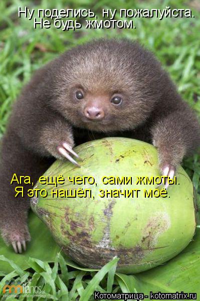Ну поделись, ну пожалуйста. Не будь жмотом. Ага, ещё чего, сами жмоты. Я это нашёл, значит моё.... Котоматрица: Ну поделись, ну пожалуйста. Не будь жмотом. Ага, ещё чего, сами жмоты. Я это нашёл, значит моё.