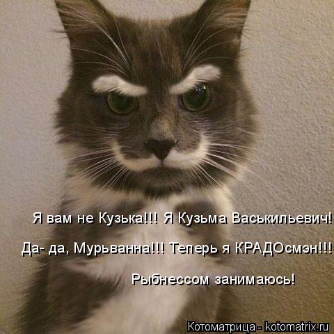 Котоматрица: Я вам не Кузька!!! Я Кузьма Васькильевич!!!  Да- да, Мурьванна!!! Теперь я КРАДОсмэн!!! Рыбнессом занимаюсь!