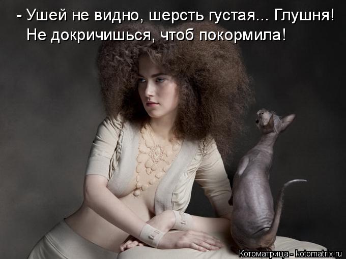 - Ушей не видно, шерсть густая... Глушня! Не докричишься, чтоб покормила!... Котоматрица: - Ушей не видно, шерсть густая... Глушня! Не докричишься, чтоб покормила!