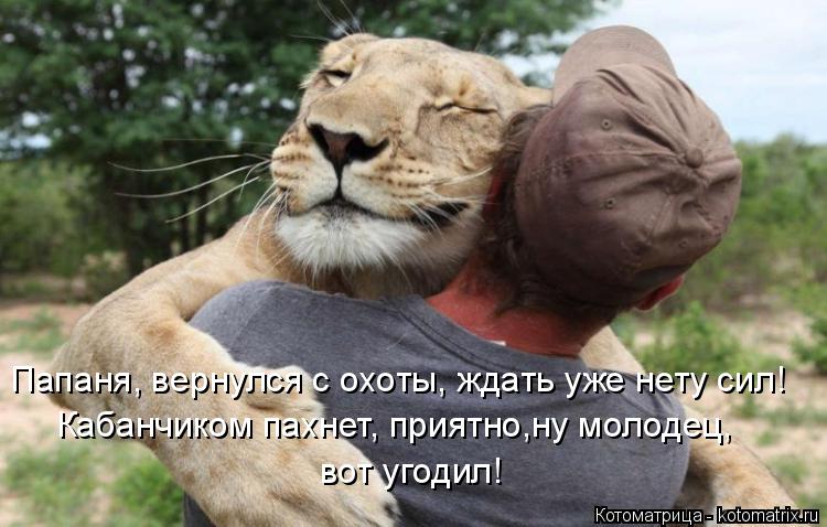 Папаня, вернулся с охоты, ждать уже нету сил! Кабанчиком пахнет, приятно,ну молодец, вот угодил!... Котоматрица: Папаня, вернулся с охоты, ждать уже нету сил! Кабанчиком пахнет, приятно,ну молодец, вот угодил!