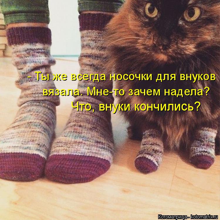 - Ты же всегда носочки для внуков вязала. Мне-то зачем надела? Что, внуки кончились?... Котоматрица: - Ты же всегда носочки для внуков вязала. Мне-то зачем надела? Что, внуки кончились?