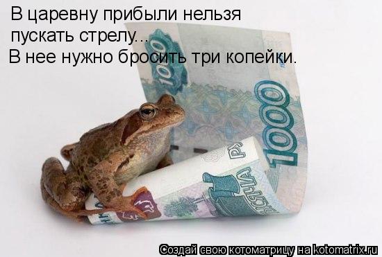 В царевну прибыли нельзя пускать стрелу... В нее нужно бросить три копейки.... Котоматрица: В царевну прибыли нельзя пускать стрелу... В нее нужно бросить три копейки.