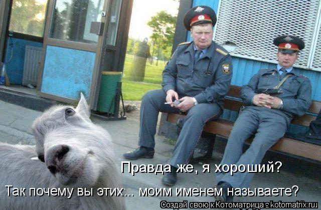 Правда же, я хороший? Так почему вы этих... моим именем называете?... Котоматрица: Правда же, я хороший? Так почему вы этих... моим именем называете?