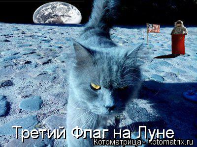 Третий Флаг на Луне... Котоматрица: Третий Флаг на Луне
