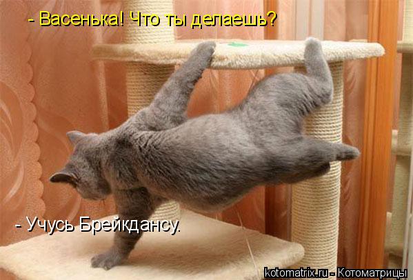 - Васенька! Что ты делаешь? - Учусь Брейкдансу.... Котоматрица: - Васенька! Что ты делаешь? - Учусь Брейкдансу.